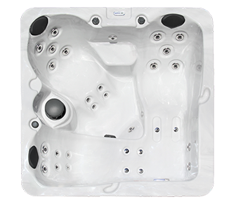 Ariel View of Hudson Bay HB31 Spa