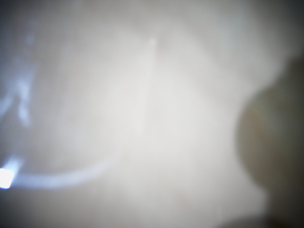 P1030866