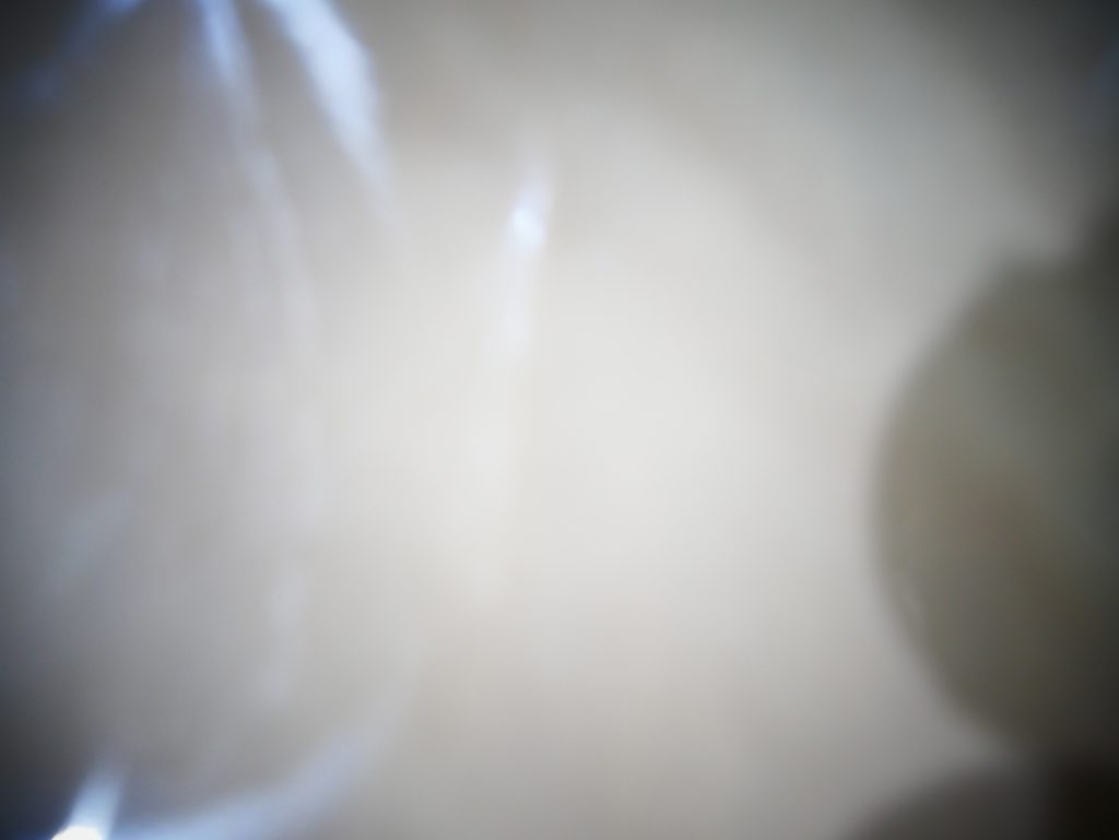 P1030867