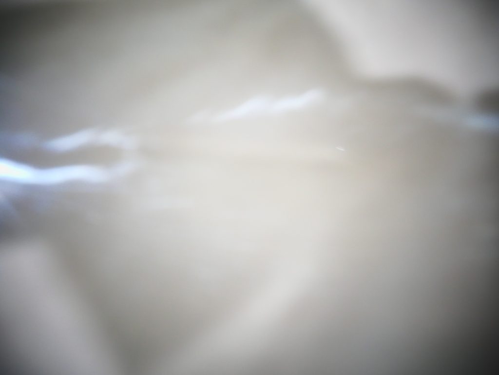P1030868