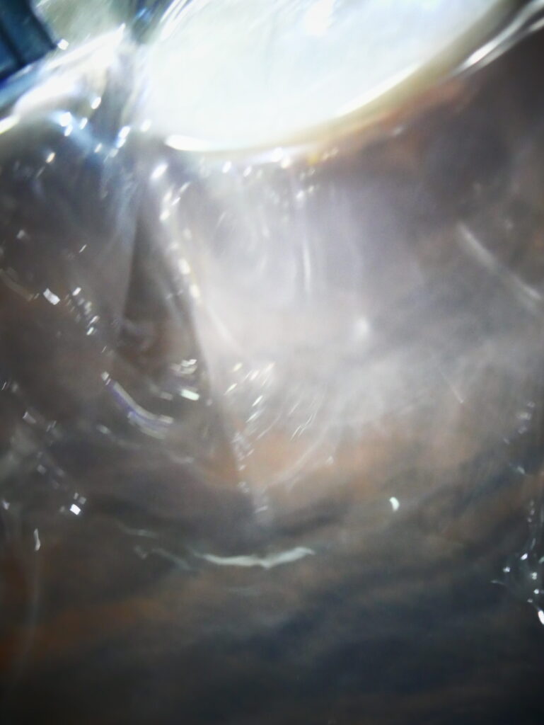 P1070262